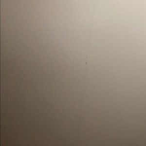 Meet your Posher, Elvia